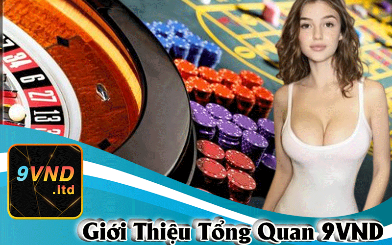 Thông tin tổng quan về 9vnd